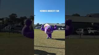 Herbies BIGGEST FAN 💜🐬 dolphins australia nrl shorts elitesupps supplements herbiefarnworth [upl. by Whiteley]