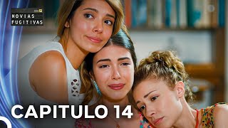 Novias Fugitivas Capitulo 14 Doblado en Español [upl. by Olethea490]