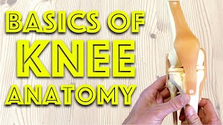 Anatomy of the Knee Joint  Basic Clinical Anatomy Revision  Dr Gill [upl. by Nojram986]