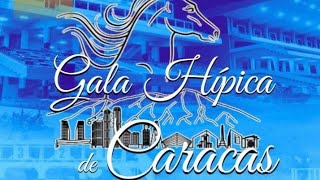 Pronósticos para la Gala Hipica de este Domingo en La Rinconada de los Cronometros de Javier Flores [upl. by Ing]