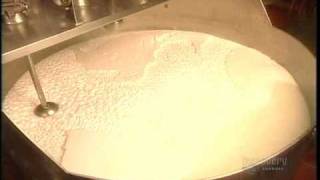 How Its Made Yogurt [upl. by Augustine]