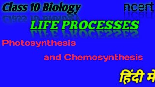 Life Processesclass 10 SciencePhotosynthesis and Chemosynthesis [upl. by Peppard]