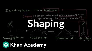 Operant conditioning Shaping  Behavior  MCAT  Khan Academy [upl. by Roper520]