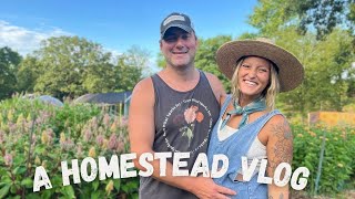 A Homestead Vlog  Day In The Life [upl. by Aida]