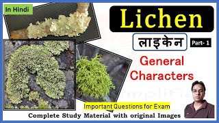 लाइकेन की सामान्य विशेषताएँ । Lichen general characters  Crustose  Foliose  Fruticose  Part 1 [upl. by Eldwun]