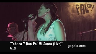 PALO quotTabaco Y Ron Pa Mi Santa Livequot • Musica Cubana Salsa Jazz Funk [upl. by Aliet]