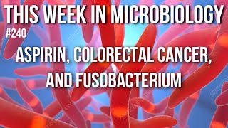 TWiM 240 Aspirin colorectal cancer and Fusobacterium [upl. by Reynold]