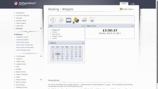 ASPNET Docking Suite  An Introduction [upl. by Wash]