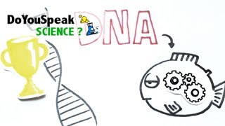 Struttura del DNA Cosa sono gli acidi nucleici La Scienza del DNA [upl. by Llirrehs]