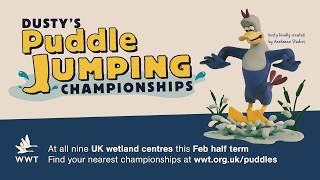 Dusty’s Puddle Jumping Championships 2018 at WWT Wetland Centres [upl. by Ariuqahs]