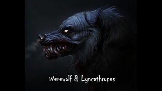 Werewolves amp Lycanthropes [upl. by Atalante]