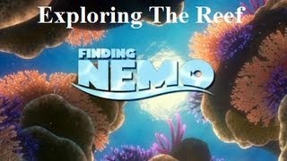 Finding Nemo  Exploring The Reef [upl. by Eirrod]