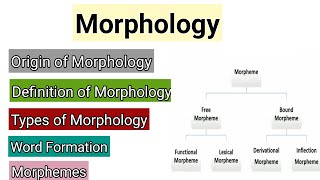 Morphology  Word Formation in Morphology  Morphemes  Types of Morphemes  Syntax vs Morphology [upl. by Sabino]