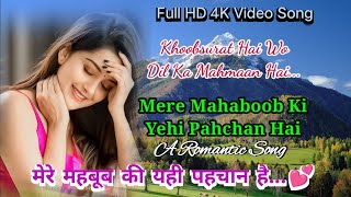 Khoobsurat Hai Wo Dil Ka Mehman Hai  खूबसूरत है वो दिल का महमान है  Salaami  Kumar Sanu hits Song [upl. by Livvi]