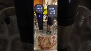 Anova Nano 3 vs Anova Pro 2 Noise [upl. by Haet]