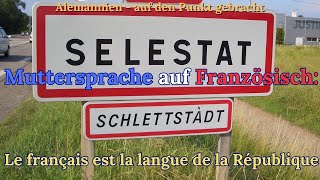 027 Wozu braucht es überhaupt einen Tag der Muttersprache [upl. by Nonnaehr]