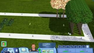 Sims 3 Saving and Desktop Crash [upl. by Hsilgne]