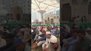 Performing Salah in Masjid e Nabi✨viral islamicplace video shorts shortsviral explore [upl. by Lleinad772]