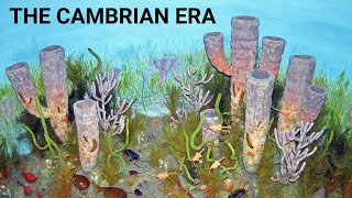 The Cambrian Era Cambrain Explosion [upl. by Tati]