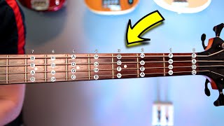 Music Theory For BASSISTS  What You MUST Know [upl. by Aivatahs]