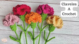 Tutorial Claveles tejidos a Crochet Fácil💜Mayelin Ros [upl. by Hsetih]