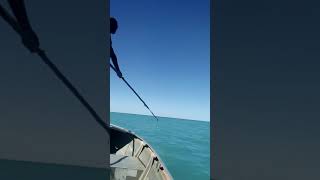 Turtle hunting Broome [upl. by Novehc]