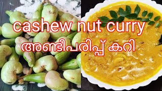 cashew nuts curry കശുവണ്ടി പരിപ്പ് കറി [upl. by Motteo]