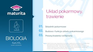 15 Układ pokarmowy człowieka trawienie  Kurs maturalny z biologii  demo kursu XXL [upl. by Benetta]