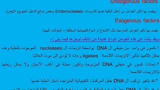 Mechanisms of DNA repair طرق اصلاح والتئام الدنا اد جمال حسان [upl. by Rockafellow]