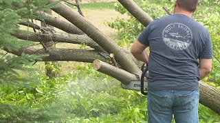 NWS Haysville tornado sets new record [upl. by Notsgnik358]