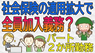 年金改正社会保険が拡大しすぎで全員加入になりそう／第３号主婦年金廃止？ [upl. by Enoid]