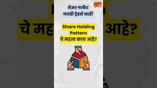 importance of share holding pattern study Share Holding Pattern चे महत्व काय आहे [upl. by Ahsiemak]