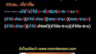 basic31 ลาวดวงเดือน [upl. by Gasser122]