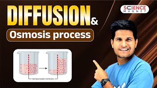 Diffusion and Osmosis process explained neerajsir sciencemagnet [upl. by Drusi232]