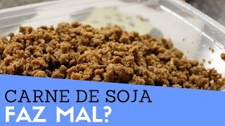 CARNE DE SOJA Faz Mal Quer Saber Como É Feita A Carne De Soja Veja [upl. by Aiken986]