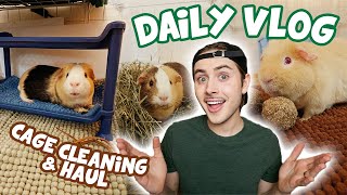 Daily Guinea Pig Vlog 🐽 Cage Cleaning amp Haul [upl. by Nomead88]