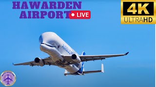 🔴4K Airbus BELUGA Special🔴 Live from Hawarden Airport Wednesday 22022023 live beluga a300 [upl. by Soisinoid]