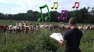 Live Burp Concert in Front of Cows [upl. by Nnahtur]