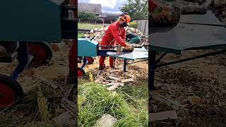 Best Log splitter firewood woodwork diy [upl. by Roderich]