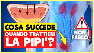 Cosa succede se trattieni a lungo la pipì Fa male Quali sono le conseguenze  Apparato Urinario [upl. by Luwana]