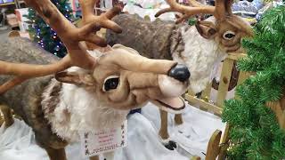 Singing Reindeers at Kings Exmouth [upl. by Nester]