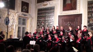 Ensemble LaGioia quotEn Stjerne klarquot K Nystedt Kloster Zangberg 2012 [upl. by Anaibib290]