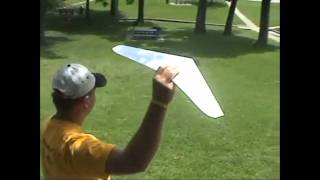 Flight of the OmniWing Paper Airplanes [upl. by Demaria]