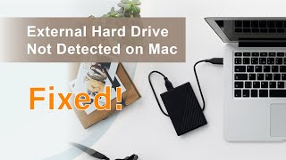 5 Proven Ways to Fix External Drive Not DetectedShowing Up On Mac 2024 [upl. by Lledo]