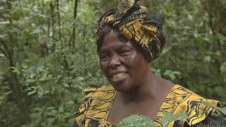 Wangari Maathai Tribute Film [upl. by Sachiko]