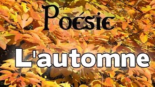 Poésie 🍁 Lautomne de Lucie DelarueMardrus 🍁 [upl. by Molini511]