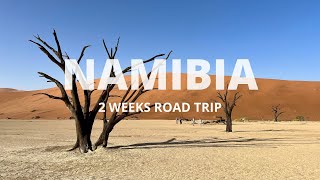 Road Trip in Namibia 14 days 4x4 safari  Drone shots [upl. by Bricker555]