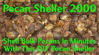 Shell bulk pecans in minutes with this Automatic Pecan Sheller at AutomationDirect [upl. by Ydnar]