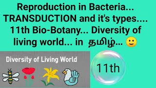 Transduction Bacteria 11th BioBotany Diversity of living world In tamil 🙂 [upl. by Yakcm]