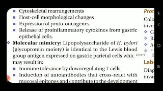 Miscellaneous Bacterial Infections of GIT [upl. by Nanoc484]